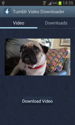 Tumblr Video Downloader android App screenshot 3