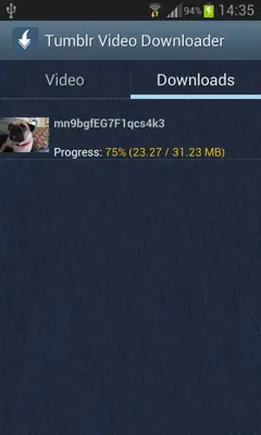 Tumblr Video Downloader android App screenshot 4